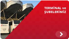 Terminal ve Şubelerimiz